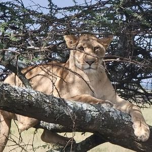 Meet your Posher, Jo